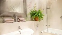 Izbaové rastliny, ktoré môžu pomôcť v boji proti vysokej vlhkosti v byte