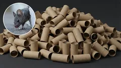 Ako sa zbaviť myší v dome pomocou držiaka na toaletnú kefu: účinná domáca pasca