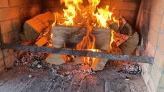 Ktoré druhy dreva sa nesmú spaľovať doma: tieto druhy nevytvárajú teplo