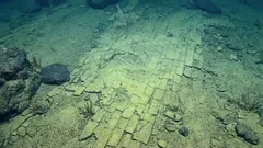„Žltá tehlová cesta“ v hlbokomorských oblastiach oceánu vyvoláva údiv – jej vysvetlenie na okamih vytvára dojem, akoby morské dno bolo úplne nové.